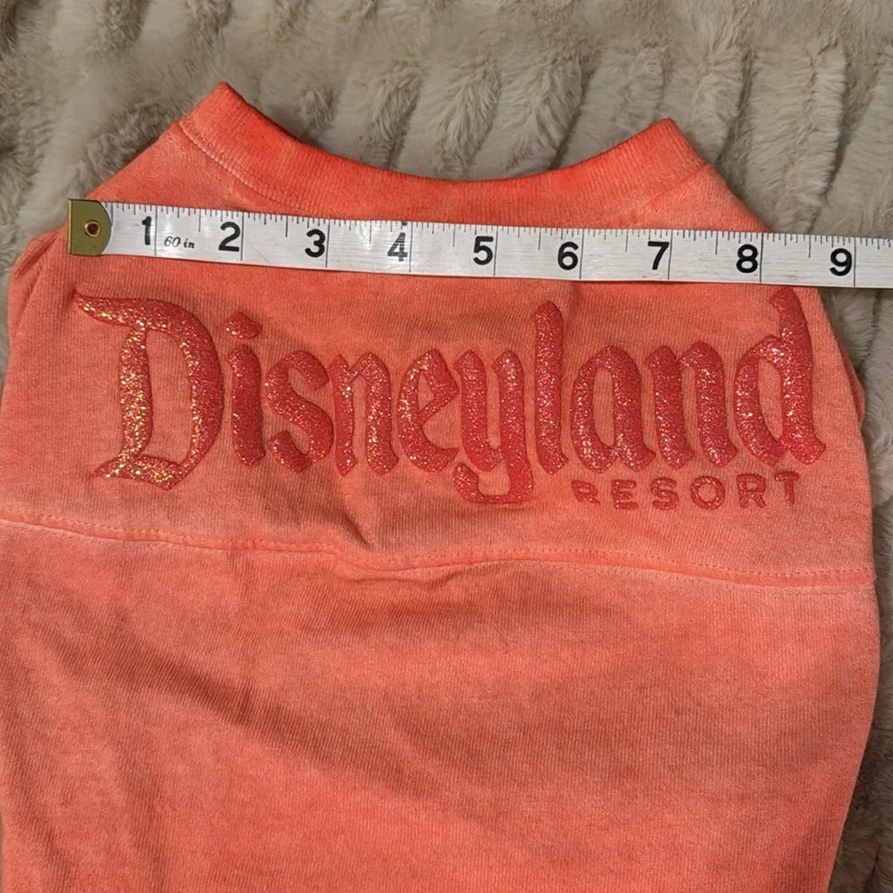 Disneyland Orange ombré Pet T-Shirt (small)